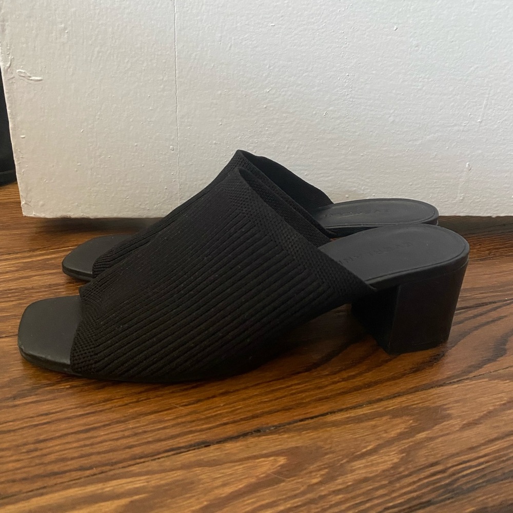 Everlane Glove Mule Sandal